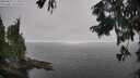 ./images/koeye/fitz-hugh/20250825/fitz-hugh20250825_123510M.jpg