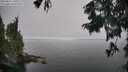 ./images/koeye/fitz-hugh/20250825/fitz-hugh20250825_131011M.jpg