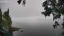 ./images/koeye/fitz-hugh/20250825/fitz-hugh20250825_132509M.jpg