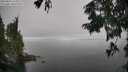 ./images/koeye/fitz-hugh/20250825/fitz-hugh20250825_135011M.jpg