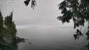 ./images/koeye/fitz-hugh/20250825/fitz-hugh20250825_140011M.jpg