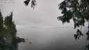 ./images/koeye/fitz-hugh/20250825/fitz-hugh20250825_140508M.jpg
