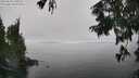 ./images/koeye/fitz-hugh/20250825/fitz-hugh20250825_141010M.jpg