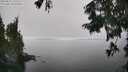./images/koeye/fitz-hugh/20250825/fitz-hugh20250825_141511M.jpg