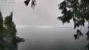 ./images/koeye/fitz-hugh/20250825/fitz-hugh20250825_142011M.jpg