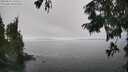 ./images/koeye/fitz-hugh/20250825/fitz-hugh20250825_142510M.jpg