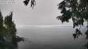 ./images/koeye/fitz-hugh/20250825/fitz-hugh20250825_143012M.jpg