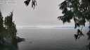 ./images/koeye/fitz-hugh/20250825/fitz-hugh20250825_143510M.jpg