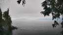 ./images/koeye/fitz-hugh/20250825/fitz-hugh20250825_144010M.jpg