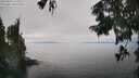 ./images/koeye/fitz-hugh/20250825/fitz-hugh20250825_144511M.jpg