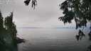 ./images/koeye/fitz-hugh/20250825/fitz-hugh20250825_145010M.jpg