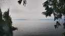 ./images/koeye/fitz-hugh/20250825/fitz-hugh20250825_145511M.jpg
