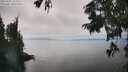 ./images/koeye/fitz-hugh/20250825/fitz-hugh20250825_151511M.jpg