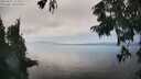 ./images/koeye/fitz-hugh/20250825/fitz-hugh20250825_153511M.jpg