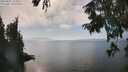 ./images/koeye/fitz-hugh/20250825/fitz-hugh20250825_154510M.jpg