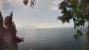./images/koeye/fitz-hugh/20250825/fitz-hugh20250825_155007M.jpg