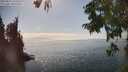 ./images/koeye/fitz-hugh/20250825/fitz-hugh20250825_155508M.jpg