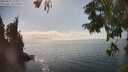 ./images/koeye/fitz-hugh/20250825/fitz-hugh20250825_160012M.jpg
