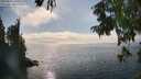 ./images/koeye/fitz-hugh/20250825/fitz-hugh20250825_161010M.jpg