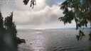 ./images/koeye/fitz-hugh/20250825/fitz-hugh20250825_163012M.jpg