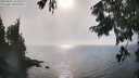 ./images/koeye/fitz-hugh/20250825/fitz-hugh20250825_165509M.jpg