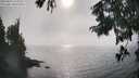 ./images/koeye/fitz-hugh/20250825/fitz-hugh20250825_170012M.jpg