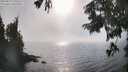 ./images/koeye/fitz-hugh/20250825/fitz-hugh20250825_170511M.jpg