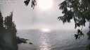 ./images/koeye/fitz-hugh/20250825/fitz-hugh20250825_171010M.jpg