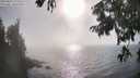 ./images/koeye/fitz-hugh/20250825/fitz-hugh20250825_172010M.jpg