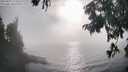 ./images/koeye/fitz-hugh/20250825/fitz-hugh20250825_174509M.jpg