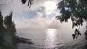 ./images/koeye/fitz-hugh/20250825/fitz-hugh20250825_175010M.jpg