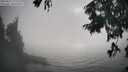 ./images/koeye/fitz-hugh/20250825/fitz-hugh20250825_180012M.jpg