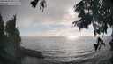 ./images/koeye/fitz-hugh/20250825/fitz-hugh20250825_181510M.jpg