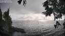 ./images/koeye/fitz-hugh/20250825/fitz-hugh20250825_182011M.jpg