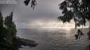 ./images/koeye/fitz-hugh/20250825/fitz-hugh20250825_191008M.jpg