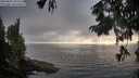 ./images/koeye/fitz-hugh/20250825/fitz-hugh20250825_191509M.jpg