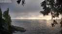 ./images/koeye/fitz-hugh/20250825/fitz-hugh20250825_192010M.jpg
