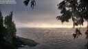 ./images/koeye/fitz-hugh/20250825/fitz-hugh20250825_193009M.jpg