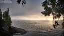 ./images/koeye/fitz-hugh/20250825/fitz-hugh20250825_193509M.jpg