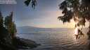 ./images/koeye/fitz-hugh/20250825/fitz-hugh20250825_200009M.jpg