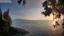 ./images/koeye/fitz-hugh/20250825/fitz-hugh20250825_200509M.jpg