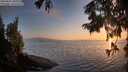 ./images/koeye/fitz-hugh/20250825/fitz-hugh20250825_201009M.jpg