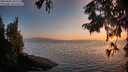 ./images/koeye/fitz-hugh/20250825/fitz-hugh20250825_201509M.jpg