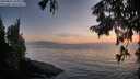 ./images/koeye/fitz-hugh/20250825/fitz-hugh20250825_203010M.jpg