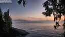 ./images/koeye/fitz-hugh/20250825/fitz-hugh20250825_203507M.jpg