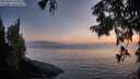 ./images/koeye/fitz-hugh/20250825/fitz-hugh20250825_204009M.jpg