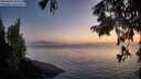 ./images/koeye/fitz-hugh/20250825/fitz-hugh20250825_204509M.jpg