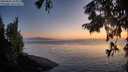 ./images/koeye/fitz-hugh/20250825/fitz-hugh20250825_205010M.jpg