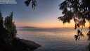 ./images/koeye/fitz-hugh/20250825/fitz-hugh20250825_205509M.jpg