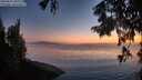./images/koeye/fitz-hugh/20250825/fitz-hugh20250825_210008M.jpg